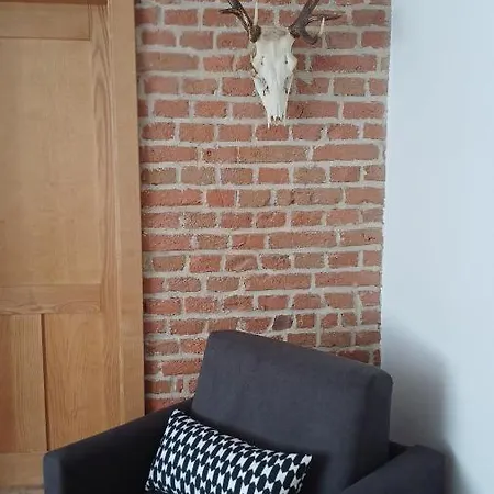 Apartament Nad Jeziorem - *