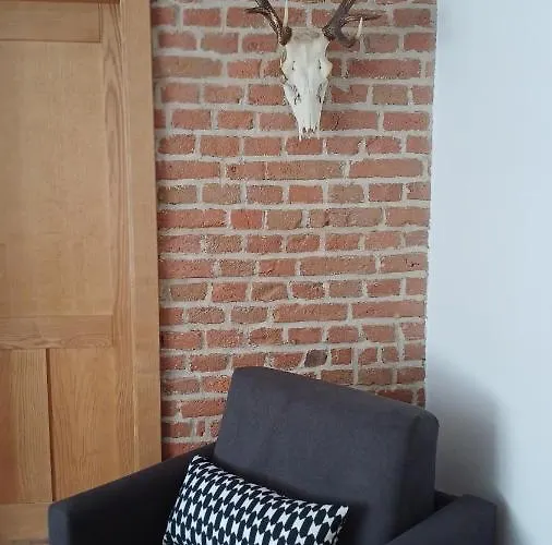 Apartment Nad Jeziorem - *